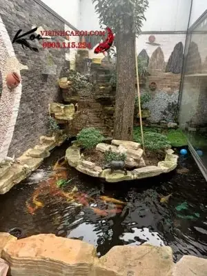 Chi Phí Làm Hồ Cá Koi