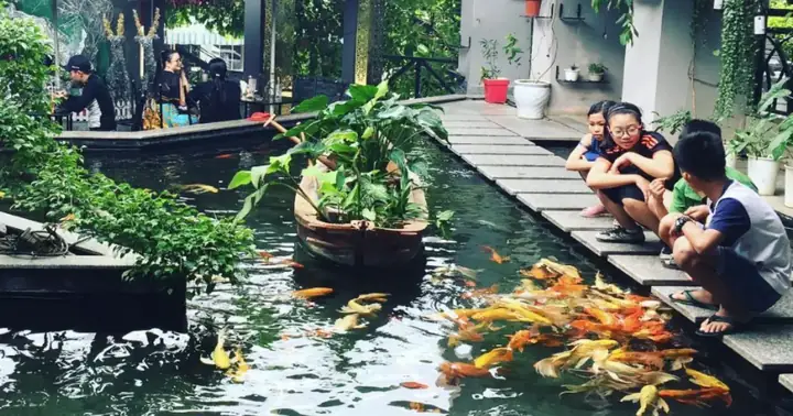 Hoàng Koi Cafe