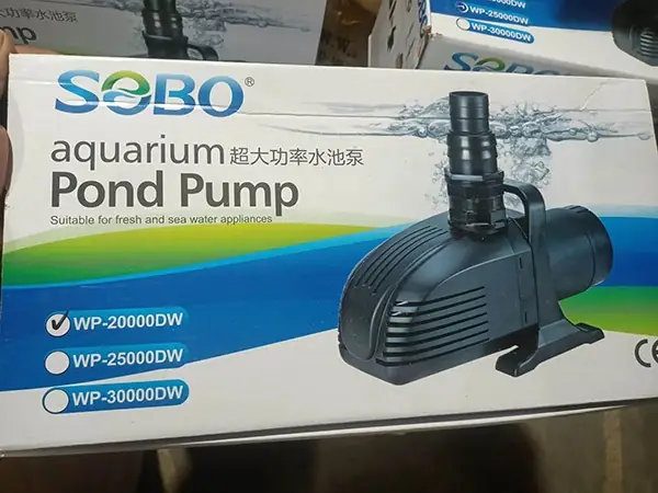 Máy Bơm Hồ Cá Koi 20 Khối Giá Bao Nhiêu? – Cẩm Nang Từ Hoa Thịnh Phát