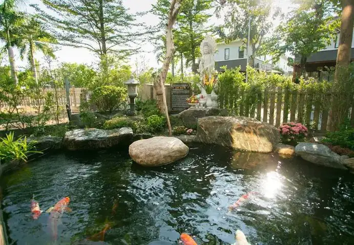 Hồ Cá Koi Biệt Thự