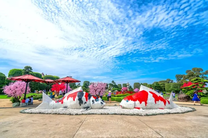 Kinh Nghiệm Tham Quan Hồ Cá Koi Rinrin Park
