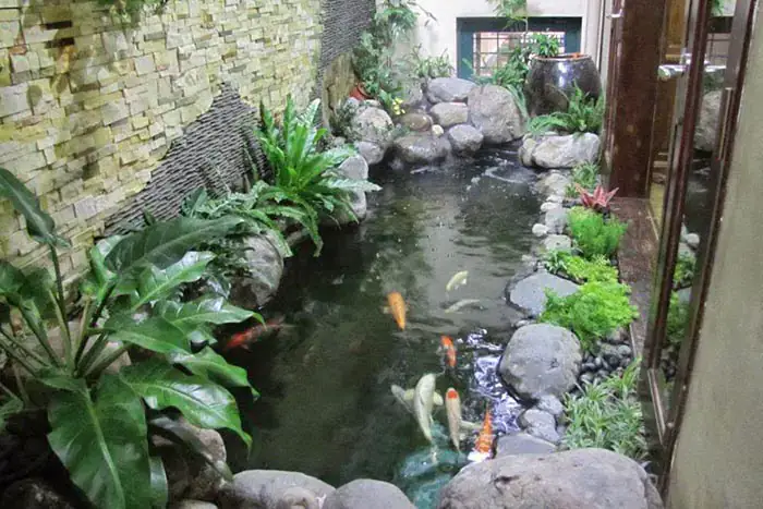 Mẫu Hồ Cá Koi Mini Đẹp Trong Nhà