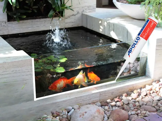 Hồ Cá Koi Mini Bằng Kính Cường Lực