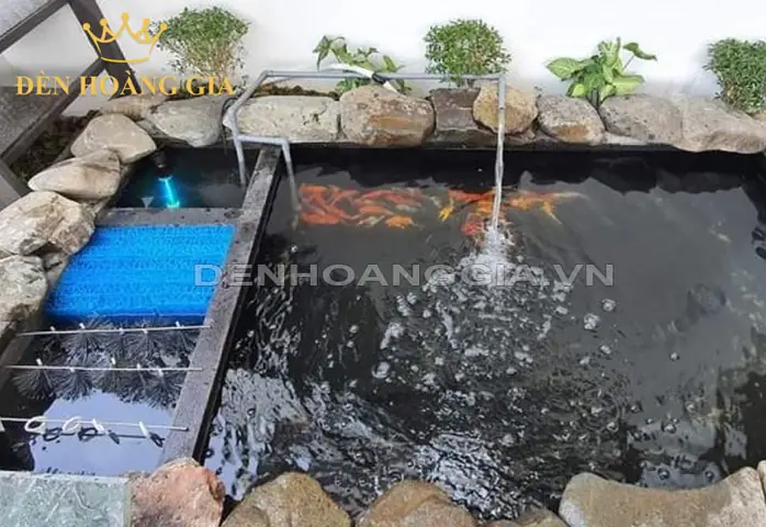 Cách Thiết Kế Hệ Thống Lọc Hồ Cá