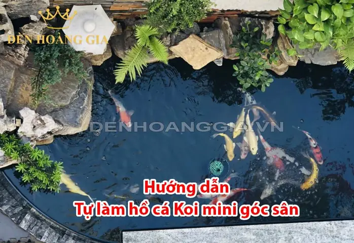 Hướng Dẫn Tự Làm Hồ Cá Koi Mini Góc Sân