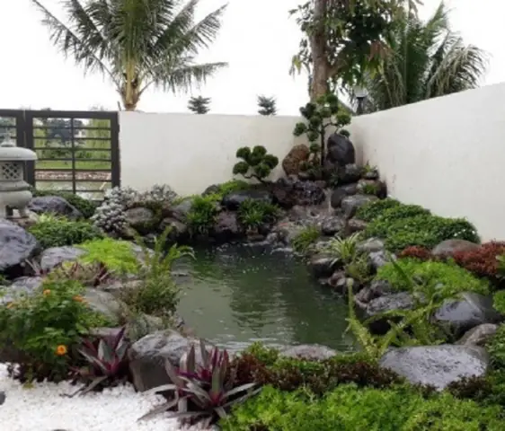 Hồ Cá Koi Đẹp Ở Tphcm