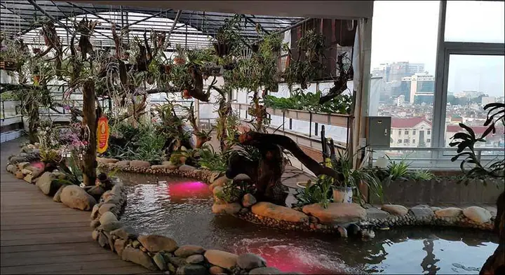 Hồ Cá Trên Sân Thượng Có Mái Che