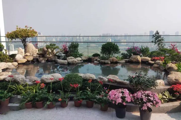 Hồ Cá Koi Sân Thượng Hình Số 8