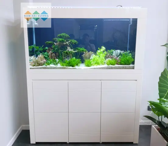 Hồ Cá Nam Hải Dương