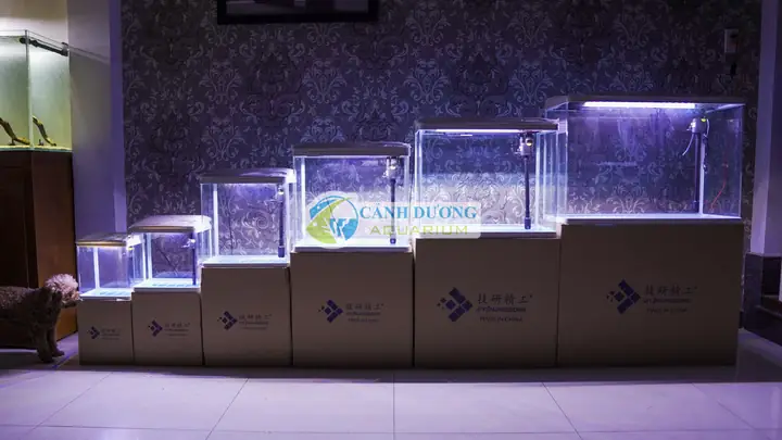 Hồ Cá Nguyên Bộ