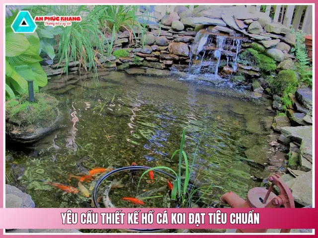 Yêu Cầu Thiết Kế Hồ Cá Koi Đạt Tiêu Chuẩn Yêu Cầu Thiết Kế Hồ Cá Koi Đạt Tiêu Chuẩn