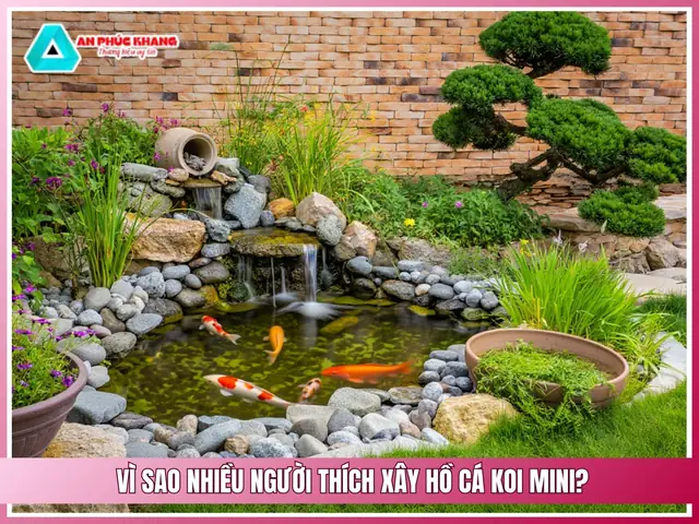 Vì Sao Nhiều Người Thích Xây Hồ Cá Koi Mini Trong Sân Vườn? Vì Sao Nhiều Người Thích Xây Hồ Cá Koi Mini Trong Sân Vườn?