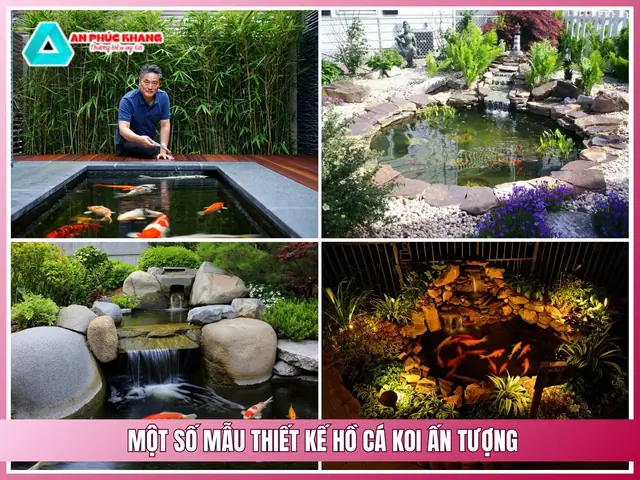 Một Số Mẫu Thiết Kế Hồ Cá Koi Ấn Tượng