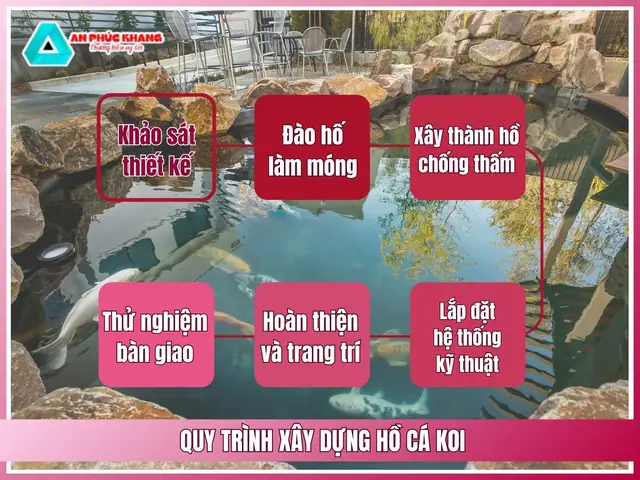 Quy Trình Xây Dựng Hồ Cá Koi Nhanh Chóng Quy Trình Xây Dựng Hồ Cá Koi Nhanh Chóng