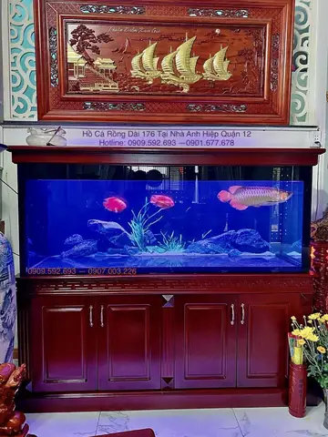 Tìm Hiểu Về Bể Cá Rồng Khủng