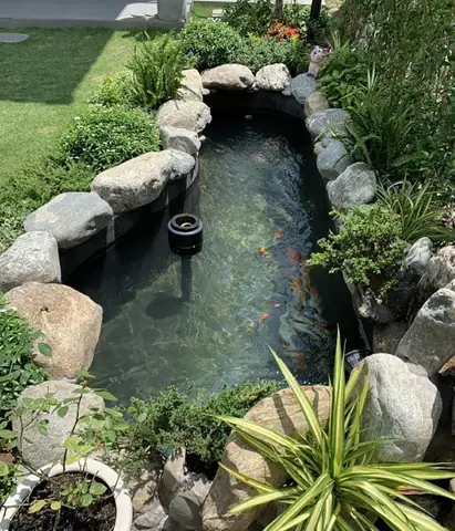 Hồ Cá Koi Mini Sân Vườn