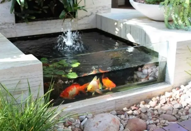 Top 65+ Mẫu Hồ Cá Sân Vườn Nhỏ Đẹp, Được Ưa Chuộng Nhất Hiện Nay
