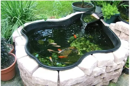 Hồ Cá Koi Mini Sân Vườn