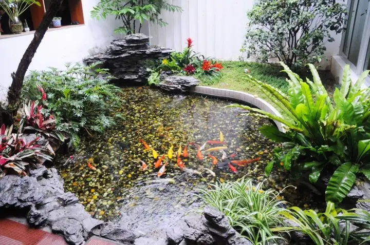 Top 65+ Mẫu Hồ Cá Sân Vườn Nhỏ Đẹp, Được Ưa Chuộng Nhất Hiện Nay