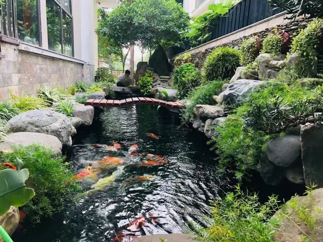 Tạo Không Gian Thoải Mái, Trong Lành