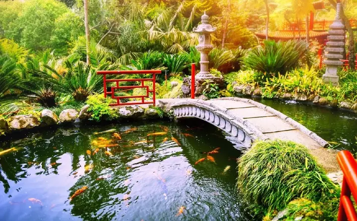 Top 65+ Mẫu Hồ Cá Sân Vườn Nhỏ Đẹp, Được Ưa Chuộng Nhất Hiện Nay