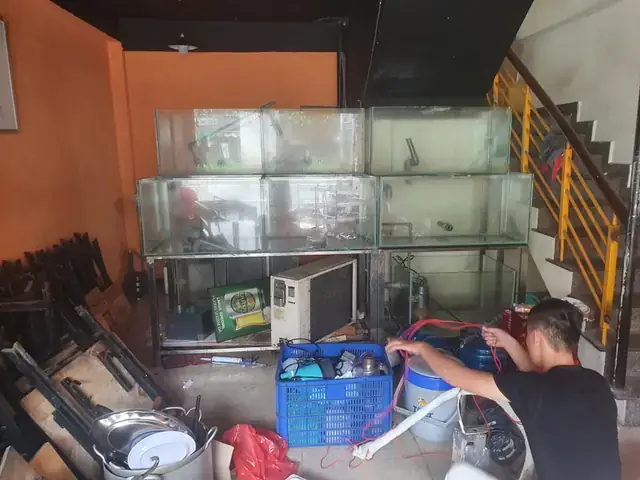 Hồ Cá Thanh Lý Bình Dương: Kinh Nghiệm Mua Bán, Đánh Giá Chất Lượng & Lưu Ý Quan Trọng Hồ Cá Thanh Lý Bình Dương: Kinh Nghiệm Mua Bán, Đánh Giá Chất Lượng & Lưu Ý Quan Trọng
