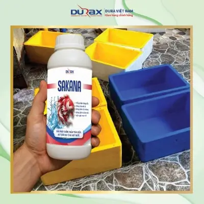 Phản Hồi Của Khách Hàng Về Dura Sakana