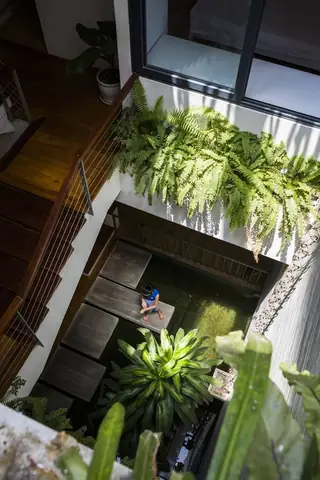 Hồ Cá Trong Nhà Dưới Giếng Trời
