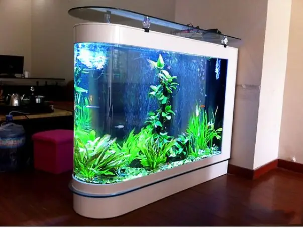 Chọn Những Màu Cá Cần Nuôi