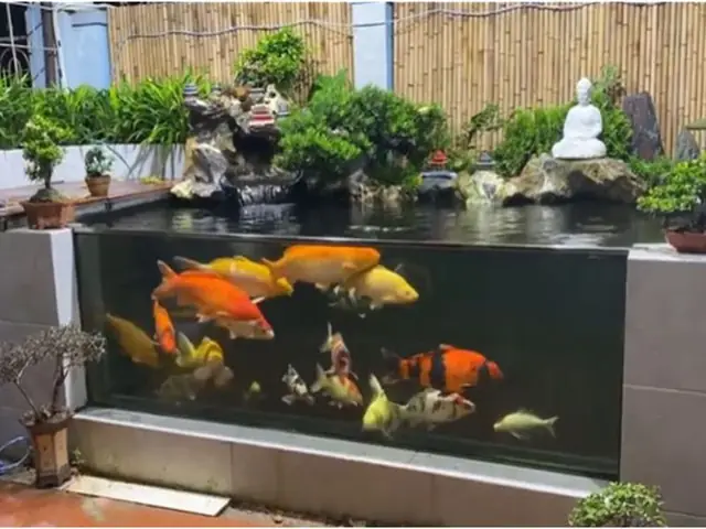 Nguồn Nước Nuôi Cá