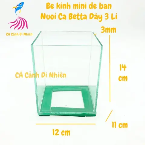 Hồ Bể Kính Mini Để Bàn Nuôi Cá Betta Dày 3 Li Size 14x 12x11 Cm