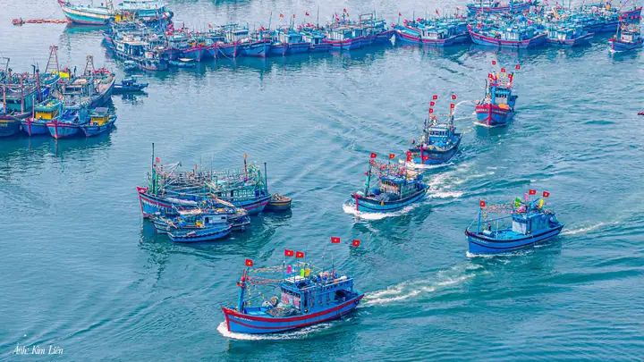 Hội Cá Cảnh Đà Nẵng