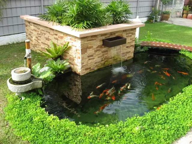 Hệ Thống Lọc Nước Và Cung Cấp Oxy Cho Hòn Non Bộ Nuôi Cá 7 Màu