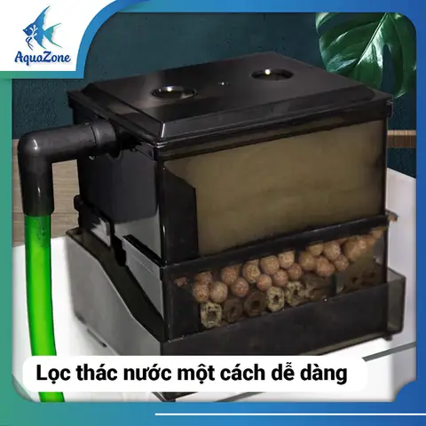 Hộp Lọc Hồ Cá: Cẩm Nang Chi Tiết Từ A-z Cho Người Nuôi Cá Cảnh