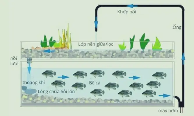 Máy Bơm Cho Hệ Thống Aquaponics
