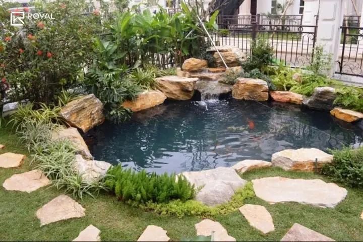 Hướng Đặt Hồ Cá Theo Phong Thuỷ Hợp Mệnh Và Tuổi