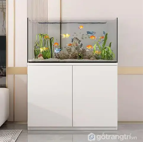 Giới Thiệu Về Tủ Bể Cá