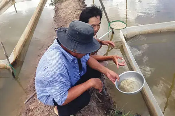Phân Loại Các Sản Phẩm Liên Quan Đến “keo” Dùng Cho Cá Lia Thia