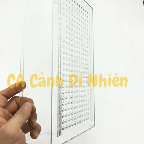 Khay Lọc Dàn Mưa Lọc Nước Hồ Cá Bằng Nhựa Mica 30x17x7 Cm