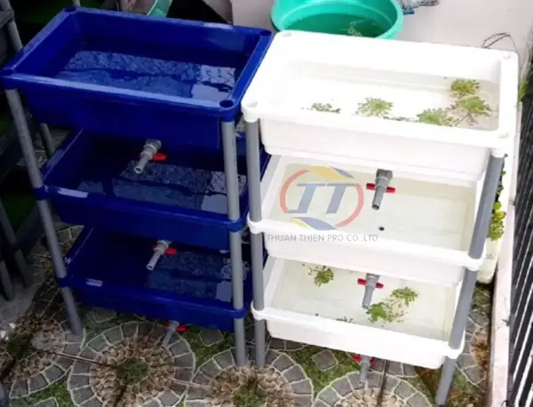 Khay Nhựa Nuôi Cá 7 Màu