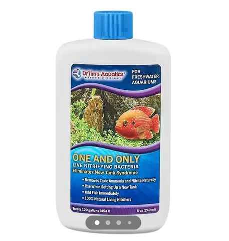 Hướng Dẫn Khử Độc Nước Bể Cá Toàn Tập: Phương Pháp An Toàn & Hiệu Quả Cao
