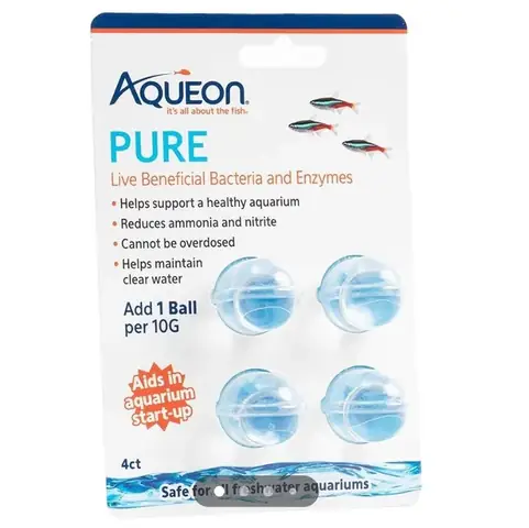 Hướng Dẫn Khử Độc Nước Bể Cá Toàn Tập: Phương Pháp An Toàn & Hiệu Quả Cao
