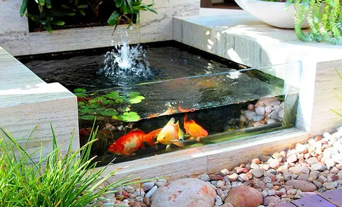 Kích Thước Bể Cá Mini: Tiêu Chí Quan Trọng Để Chọn Được Mẫu Bể Phù Hợp