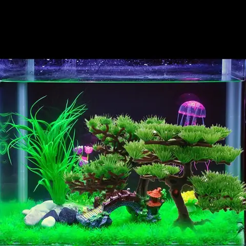 Kích Thước Hồ Cá 60cm