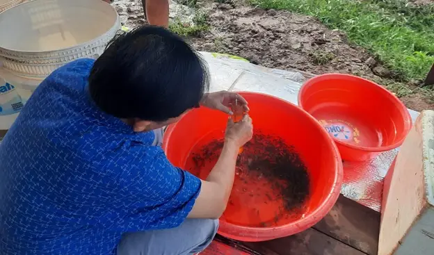 Kỹ Thuật Nuôi Cá