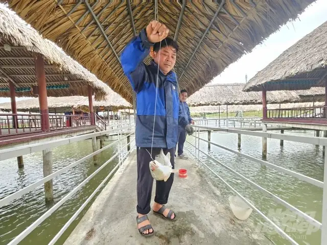 Tỷ Lệ An Toàn Cao