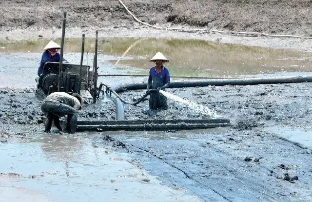 Kỹ Thuật Nuôi Cá Nước Ngọt