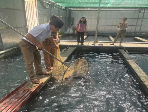 Kỹ Thuật Nuôi Cá Tầm