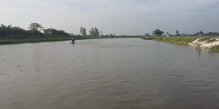 2 Quản Lý Đàn Cá