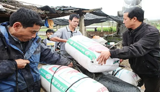 Kỹ Thuật Vận Chuyển Cá Sống: Toàn Tập Từ A-z Cho Người Mới Bắt Đầu